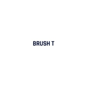 Brush T