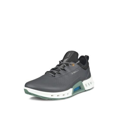 Ecco heren golfschoenen Biom C4 magnet