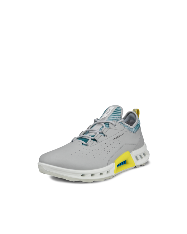 Ecco heren golfschoenen Biom C4 concrete baygreen