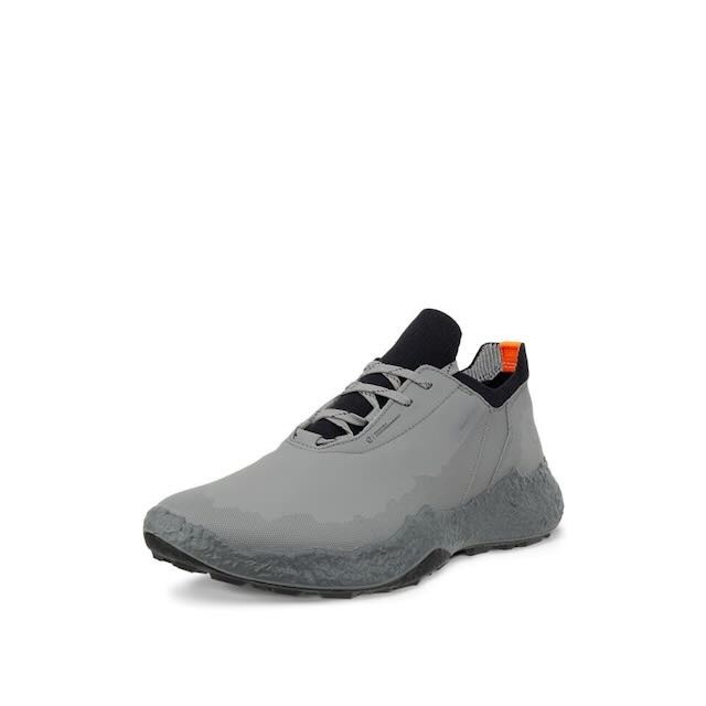 Ecco heren golfschoen Biom H5 steel